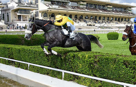 Actualités Hippiques